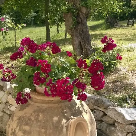 Casa vacanze Colle Della Selva Abbateggio
