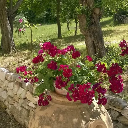 Colle Della Selva *
