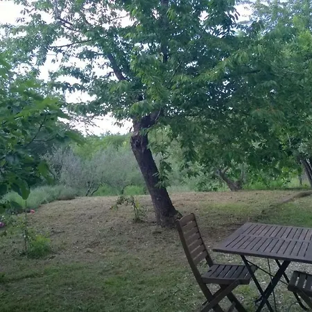 Colle Della Selva Tatil Evi *